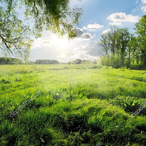 Budujemy jak dla siebie